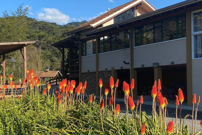 área externa-flores